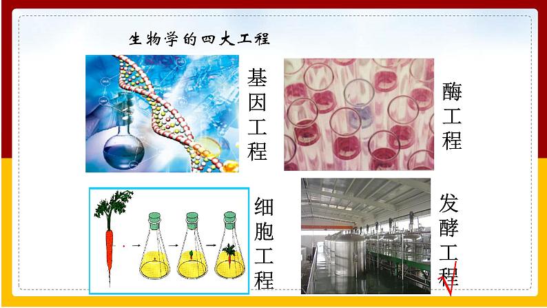 第23章 日常生活中的生物技术 第1节 源远流长的发酵技术课件PPT第3页