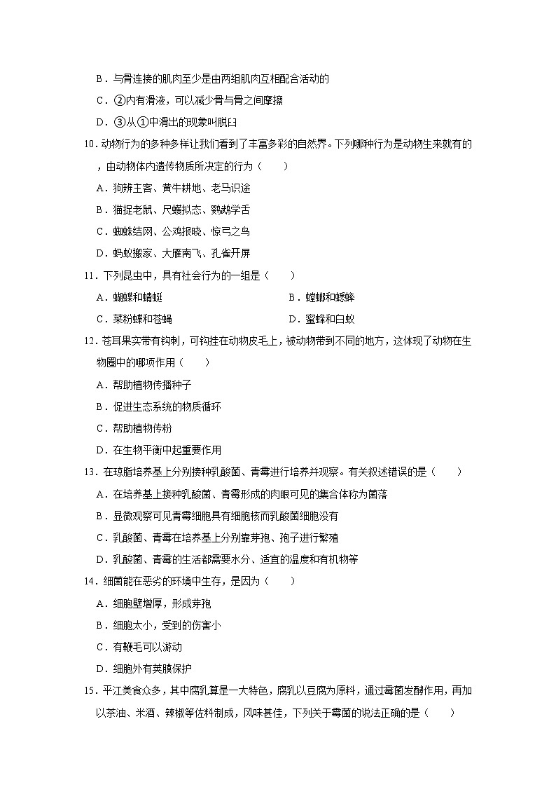 2021-2022学年湖南省岳阳市平江县八年级（上）期末生物试卷   解析版第3页