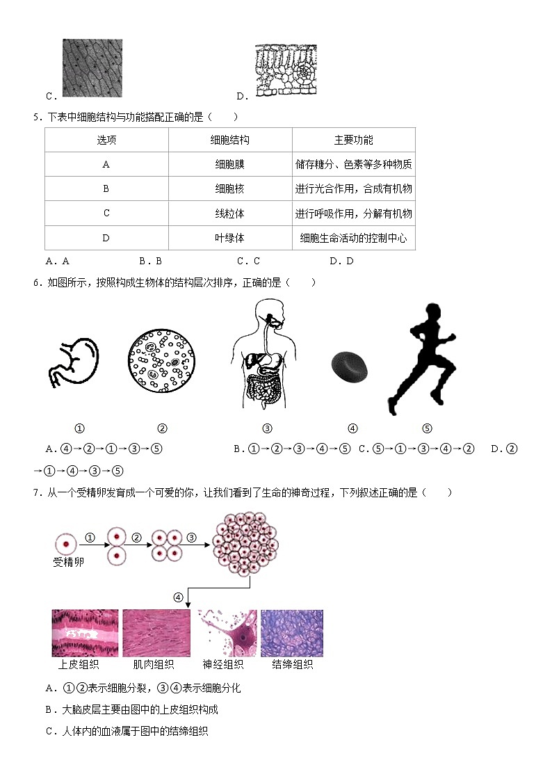 2021-2022学年河北省秦皇岛市青龙县七年级（上）期末生物试卷   解析版02