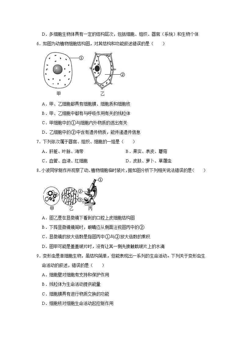 2021-2022学年安徽省亳州市利辛县七年级（上）期末生物试卷   解析版第2页