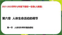 初中生物人教版 (新课标)七年级下册第一节 人体对外界环境的感知背景图ppt课件