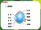 4.6.1人体对外界环境的感知课件(共19张PPT)