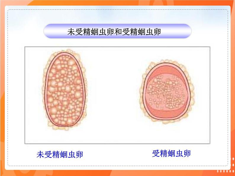 七生下 北师大版 课件13.2 预防传染病第8页