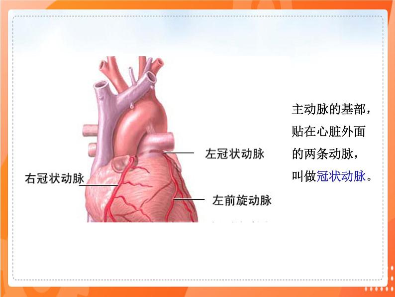 七生下 北师大版 课件13.4 当代主要疾病和预防08