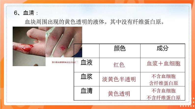 七生下  北师大版 课件9.1.1 血液03