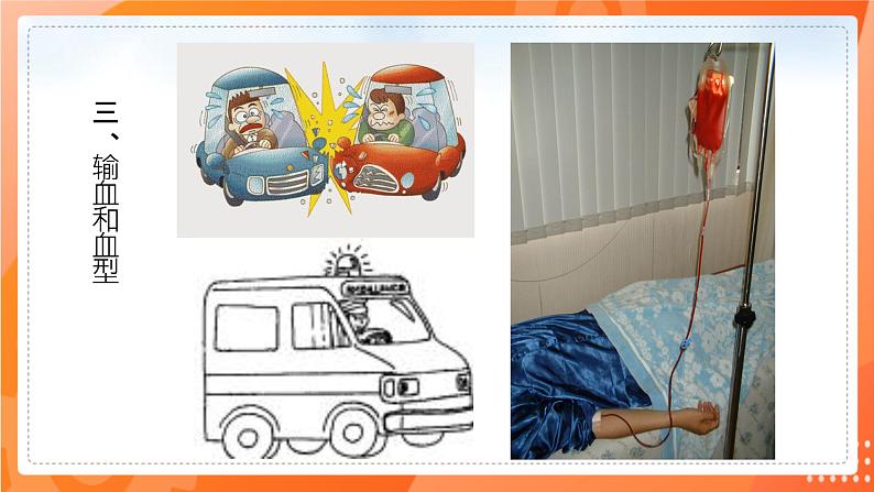 七生下  北师大版 课件9.1.1 血液07