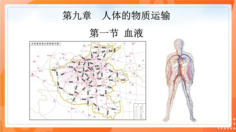 七生下 北师大版 课件9.1.1 血液01