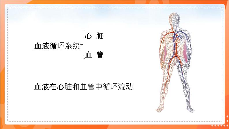 七生下 北师大版 课件9.1.1 血液02