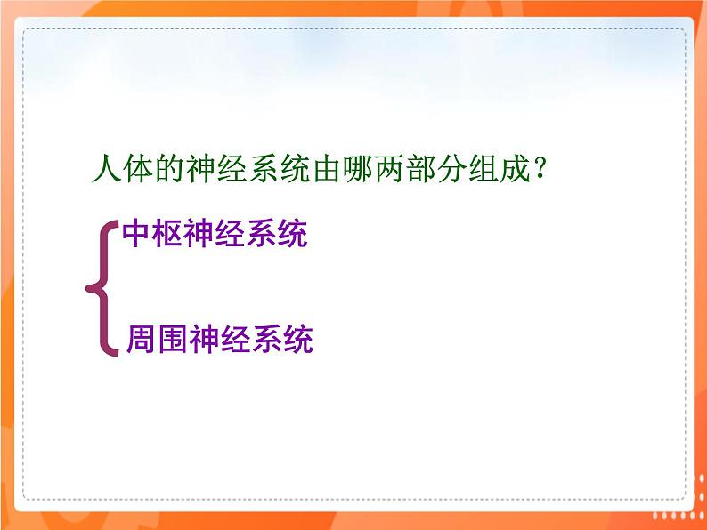 七生下 北师大版 课件12.1 神经系统与神经调节第3页