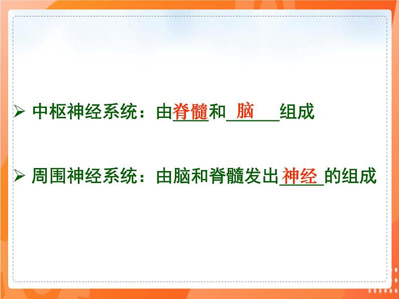 七生下 北师大版 课件12.1 神经系统与神经调节第4页