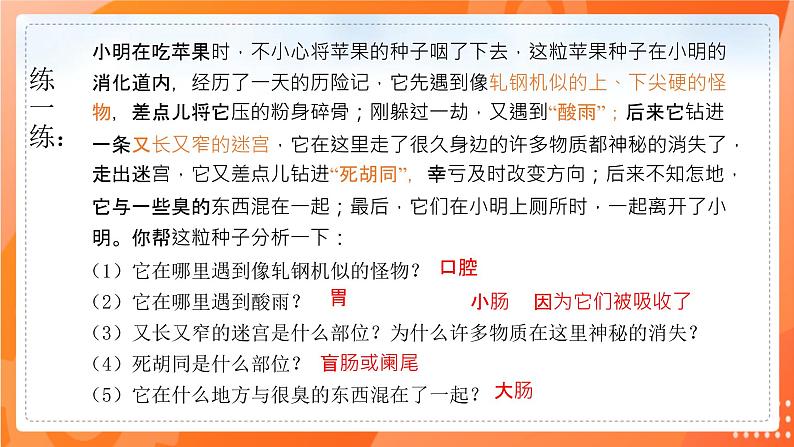 七生下 北师大版 课件8.2 食物的消化和营养物质的吸收第6页