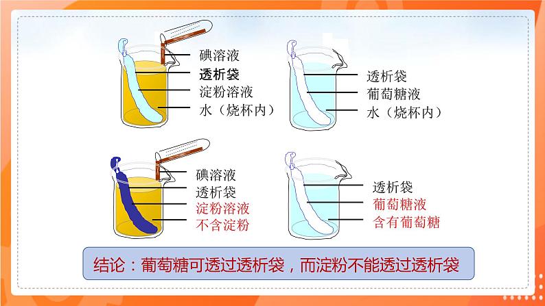 七生下 北师大版 课件8.2 食物的消化和营养物质的吸收第8页