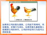 七生下 北师大版 课件12.3 激素调节