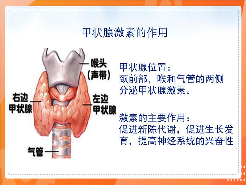 七生下 北师大版 课件12.3 激素调节第4页