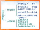 七生下 北师大版 课件12.3 激素调节