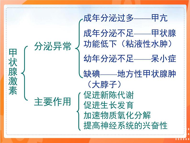 七生下 北师大版 课件12.3 激素调节第5页