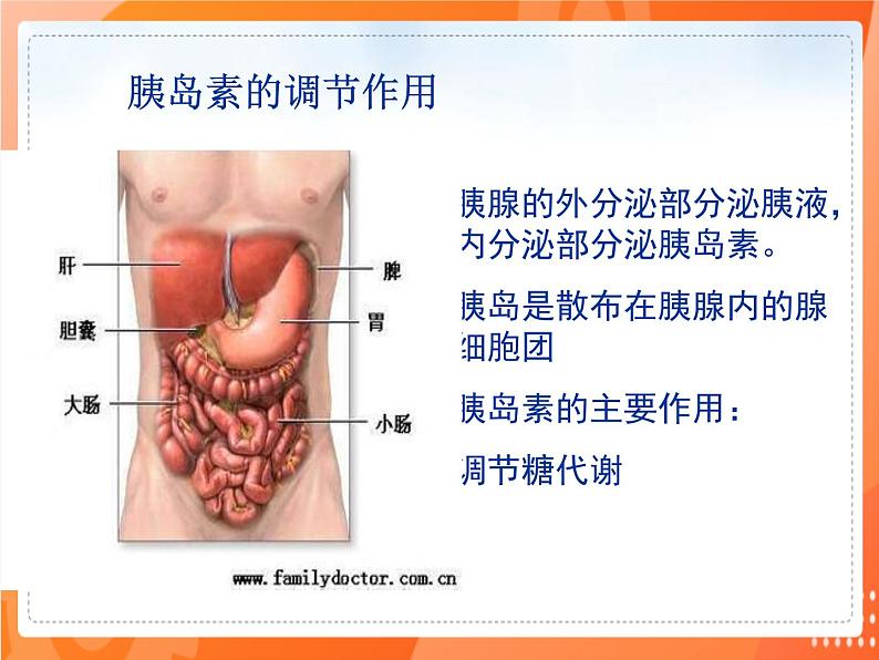 七生下 北师大版 课件12.3 激素调节第6页