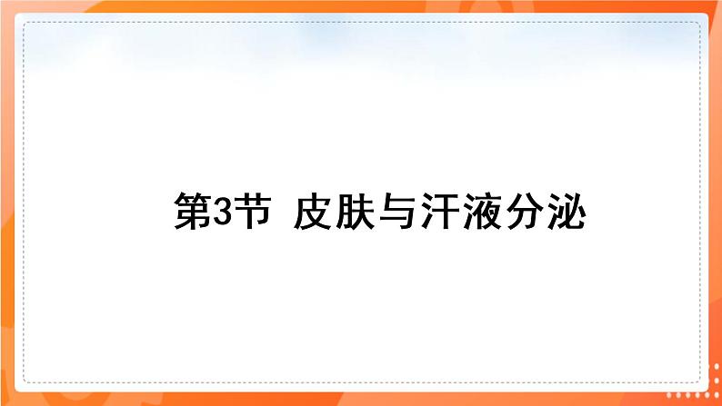 七生下 北师大版 课件11.3 皮肤与汗液分泌01