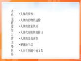 七生下 北师大版 课件8.1 人类的食物