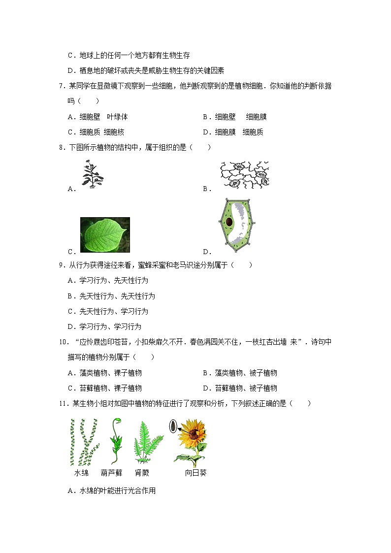 2021-2022学年山东省济南市高新区七年级（上）期末生物试卷   解析版第2页