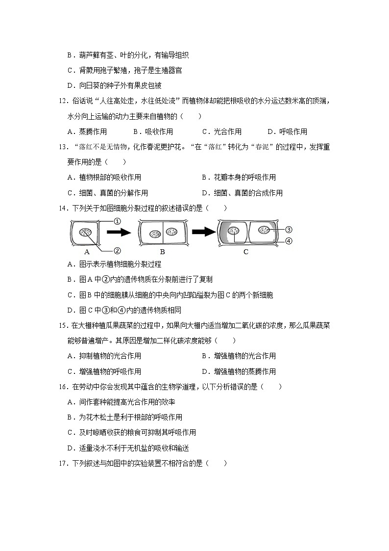 2021-2022学年山东省济南市高新区七年级（上）期末生物试卷   解析版第3页
