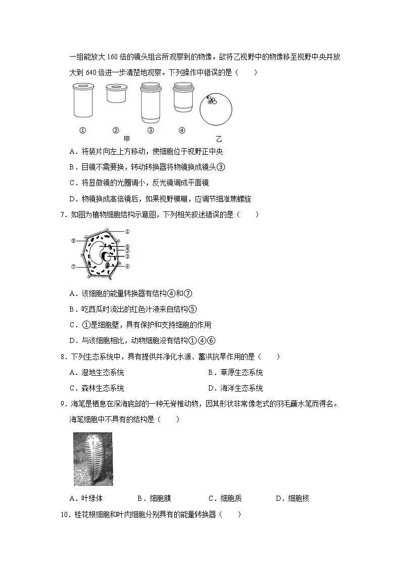 2021-2022学年湖南省株洲市茶陵县七年级（上）期末生物试卷   解析版02