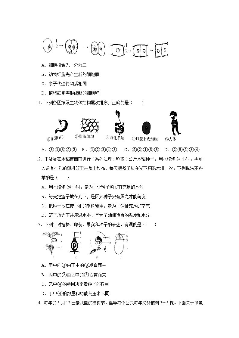 2021-2022学年安徽省滁州市南谯区七年级（上）期末生物试卷   解析版第3页