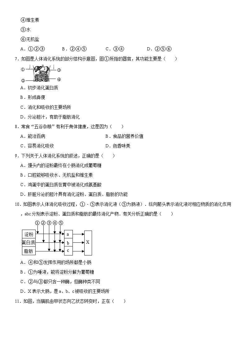 2021-2022学年山东省烟台市招远市七年级（上）期末生物试卷（五四学制）   解析版第2页