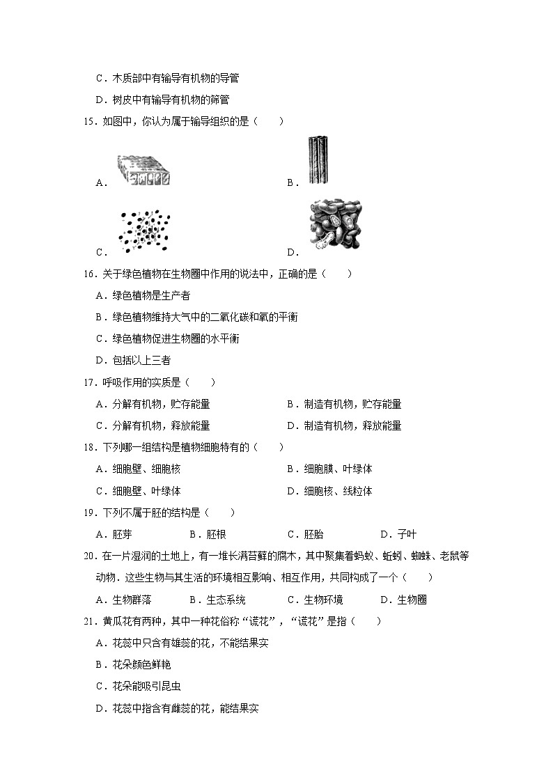 2021-2022学年安徽省淮北市烈山区七年级（上）期末生物试卷   解析版03