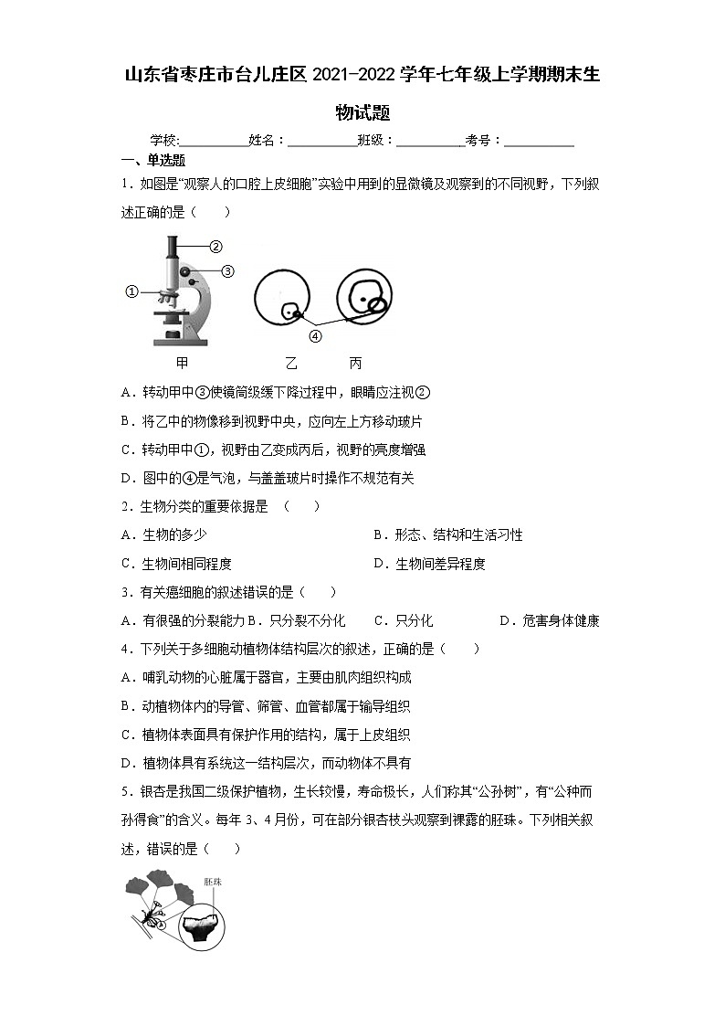 山东省枣庄市台儿庄区2021-2022学年七年级上学期期末生物试题（word版 含答案）01