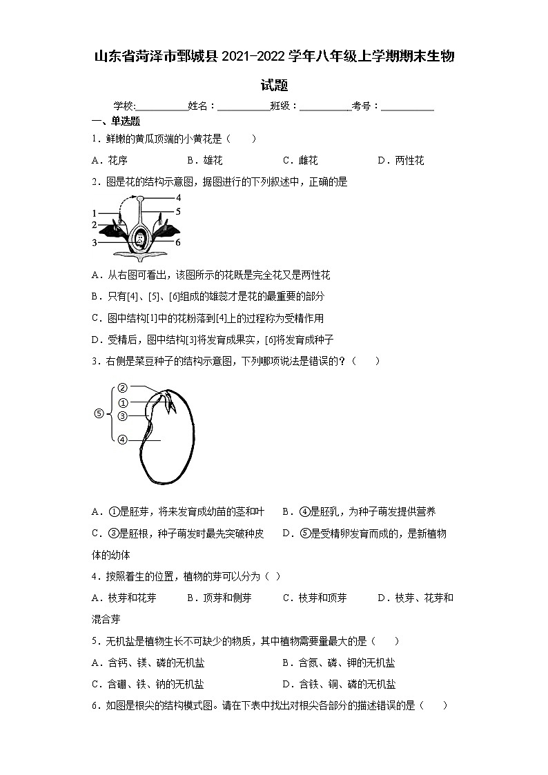 山东省菏泽市鄄城县2021-2022学年八年级上学期期末生物试题（word版 含答案）第1页