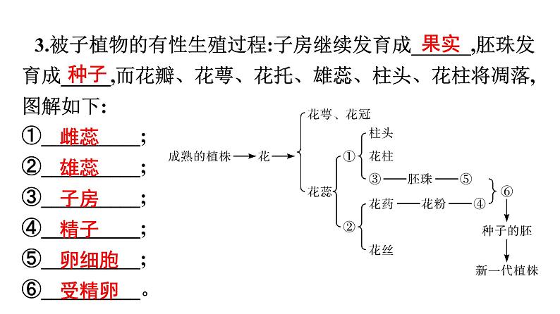 2021中考广东专用生物知识点一轮复习第七单元第一章　生物的生殖和发育课件第6页