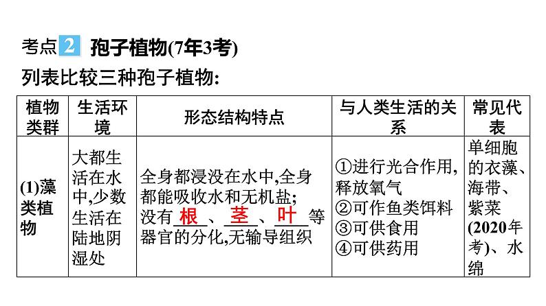 2021中考广东专用生物知识点一轮复习第三单元第一章　生物圈中有哪些绿色植物 课件05