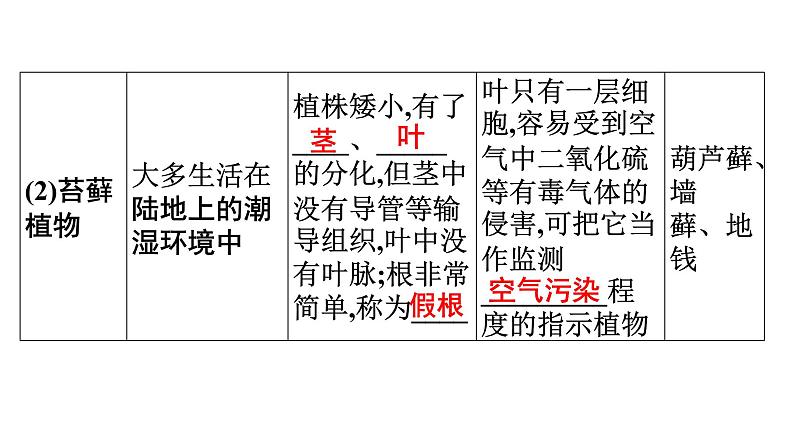 2021中考广东专用生物知识点一轮复习第三单元第一章　生物圈中有哪些绿色植物 课件06