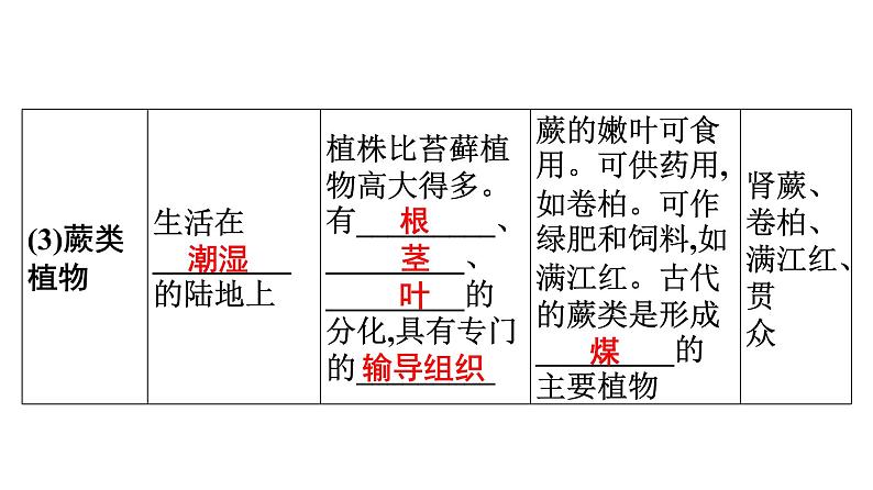 2021中考广东专用生物知识点一轮复习第三单元第一章　生物圈中有哪些绿色植物 课件07