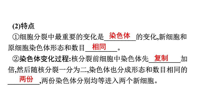 2021中考广东专用生物知识点一轮复习第二单元第二章　细胞怎样构成生物体 课件06