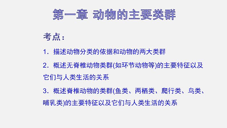 人教版初中生物复习 专题15  动物的主要类群　课件02