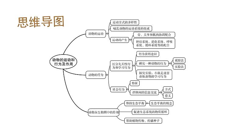 人教版初中生物复习 专题16 动物的运动和行为、动物在生物圈中的作用课件PPT03