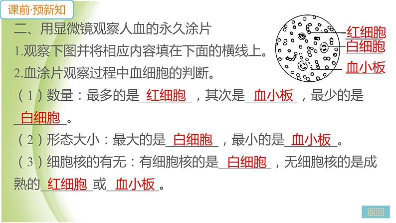 七年级生物下册第四单元生物圈中的人第四章人体内物质的运输第一节流动的组织__血液作业课件新人教版08