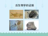 21-2生物的进化（第1课时）课件2021-2022学年北师大版生物八年级下册