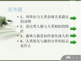 21-3人类的起源与进化（第1课时）课件2021-2022学年北师大版生物八年级下册