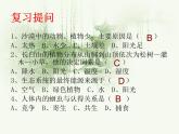 23-2生态系统概述课件2021-2022学年北师大版生物八年级下册