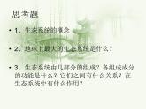 23-2生态系统概述课件2021-2022学年北师大版生物八年级下册
