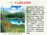 23-2生态系统概述课件2021-2022学年北师大版生物八年级下册