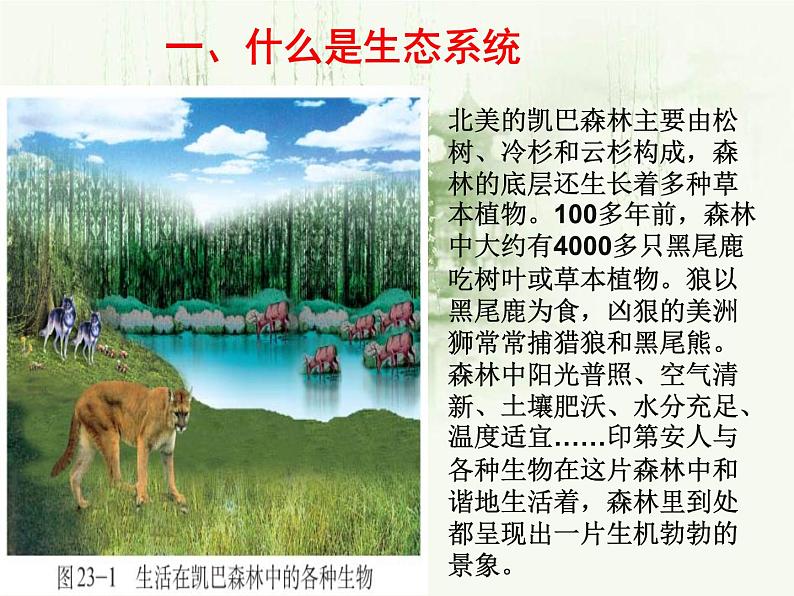 23-2生态系统概述课件2021-2022学年北师大版生物八年级下册第5页