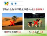 23-2生态系统概述课件2021--2022学年北师大版生物八年级下册
