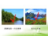 23-2生态系统概述课件2021--2022学年北师大版生物八年级下册