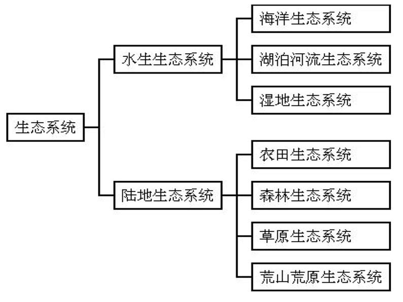 23-2生态系统概述课件2021--2022学年北师大版生物八年级下册第6页