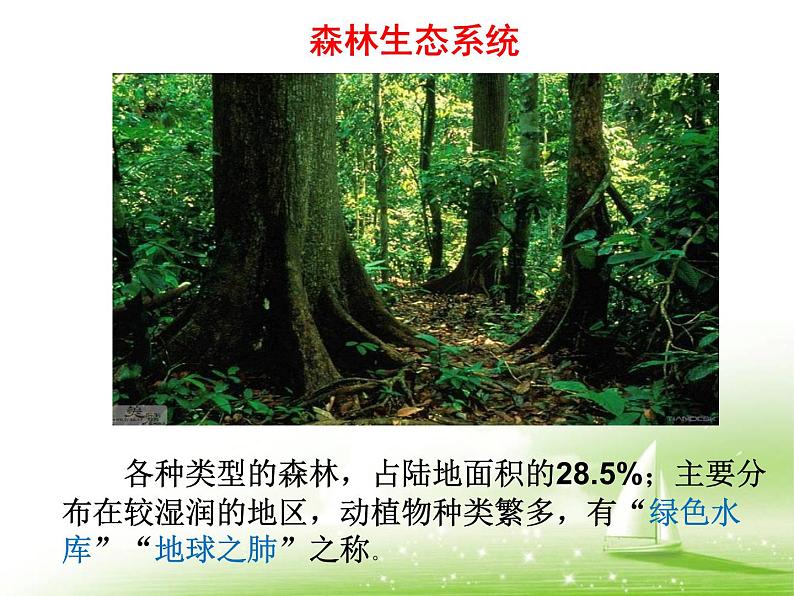 23-2生态系统概述课件2021--2022学年北师大版生物八年级下册第7页