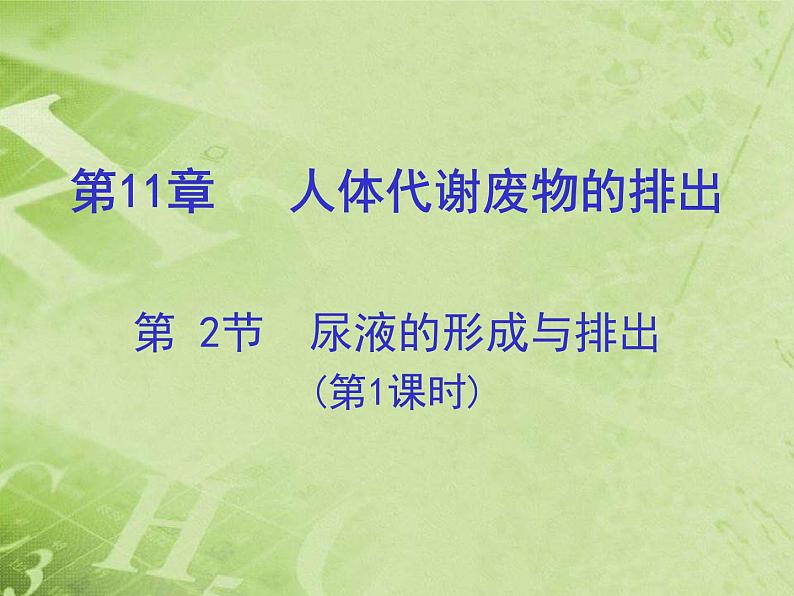 第十一章第二节尿的形成与排出（第一课时）课件2021-2022学年北师大版七年级生物下册01